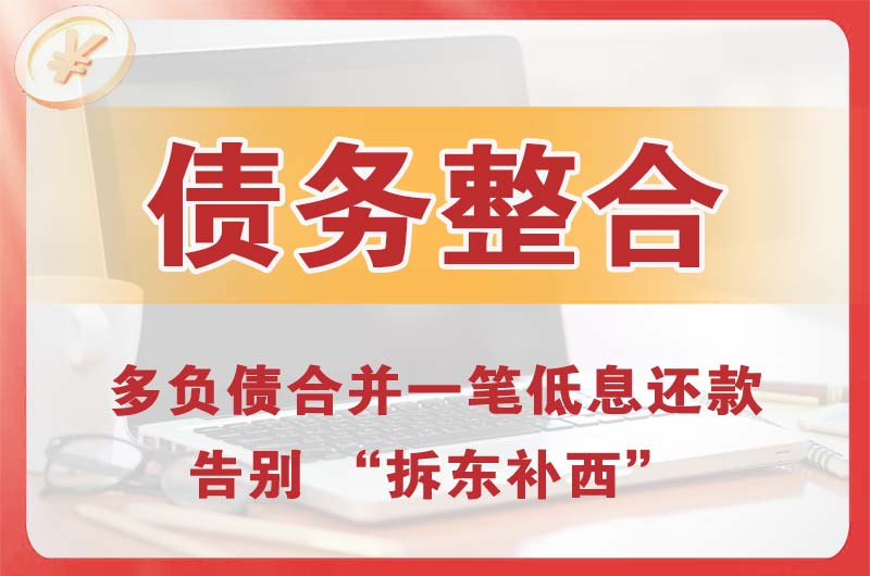 新浦新区债务整合